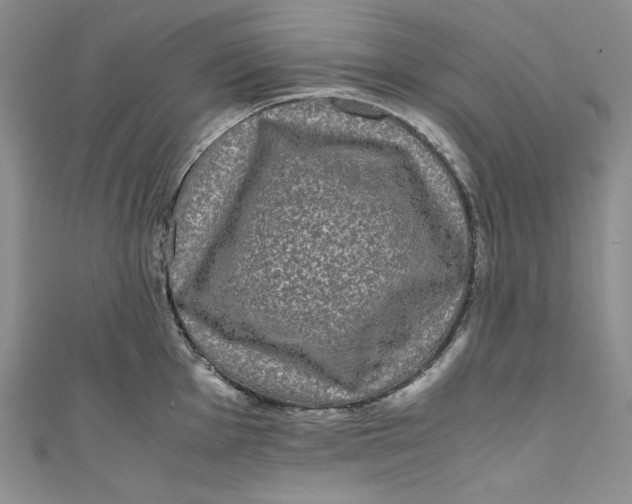 X0000111011001200907060951