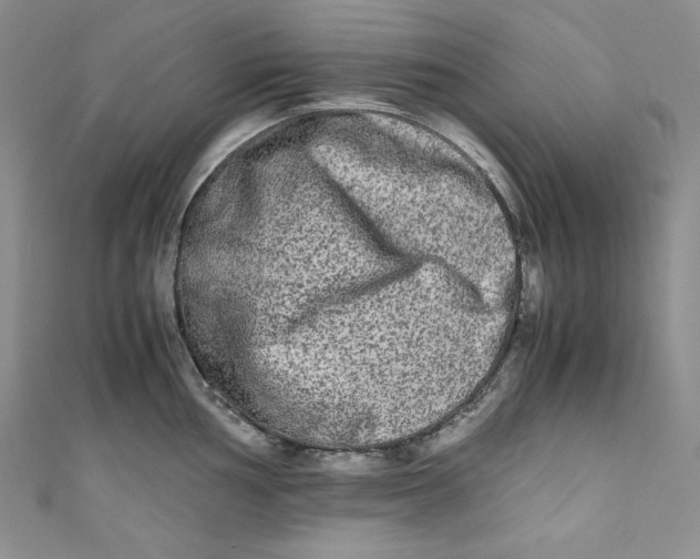 X0000111011002200907060951