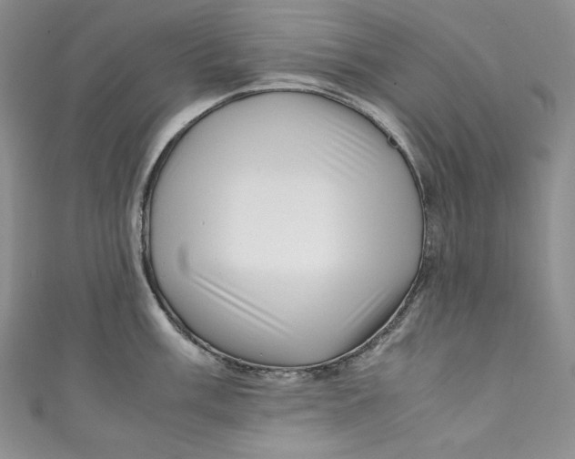 X0000111011003200907060951