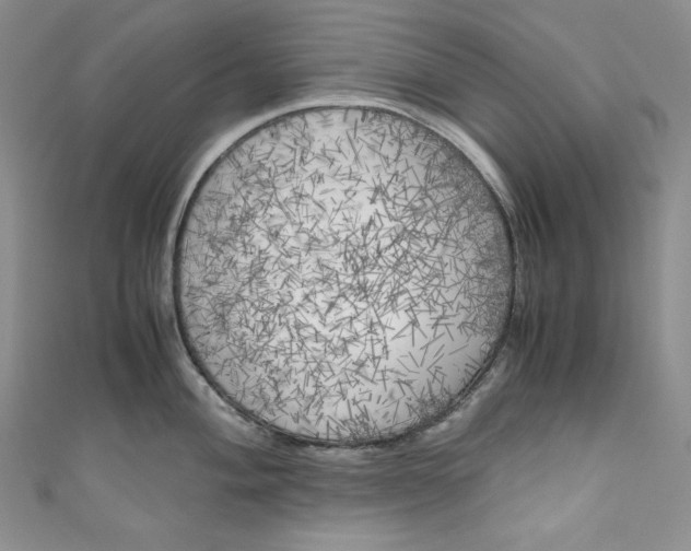 X0000111011004200907060951