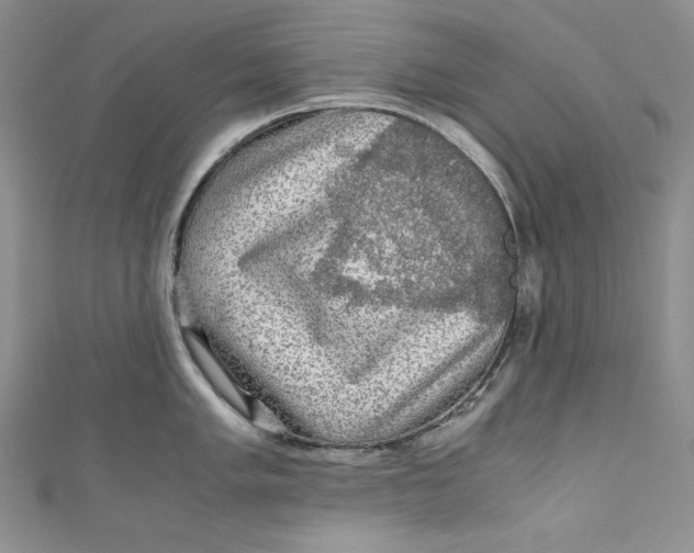 X0000111011005200907060951