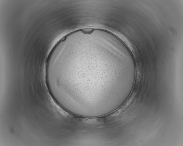 X0000111011006200907060951