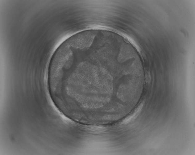 X0000111011007200907060951