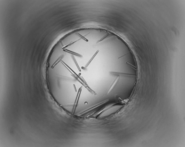 X0000111011008200907060951