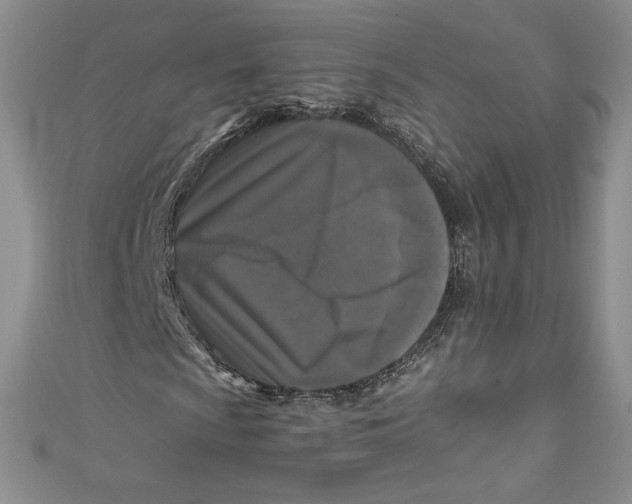 X0000111011009200907060951