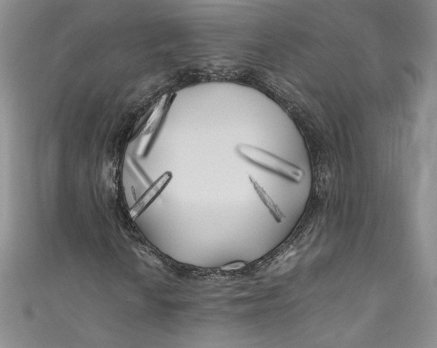 X0000111011010200907060951