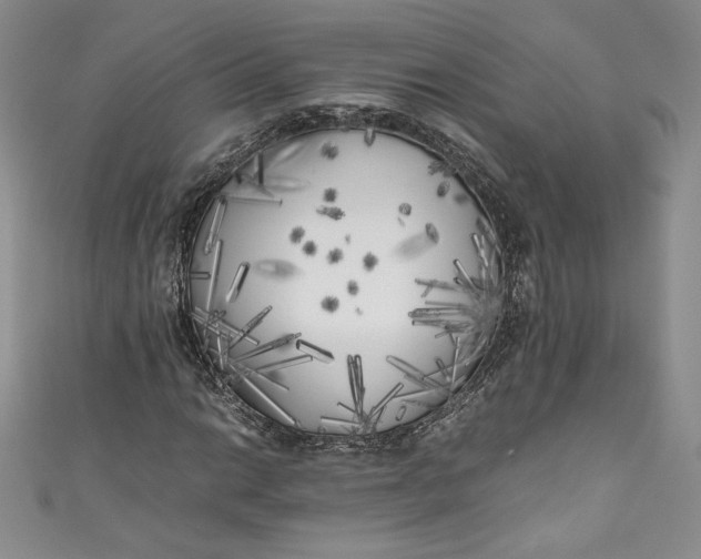 X0000111011014200907060951