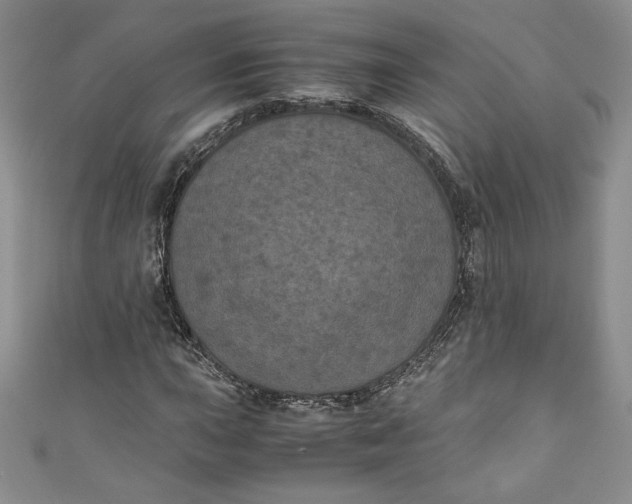 X0000111011015200907060951