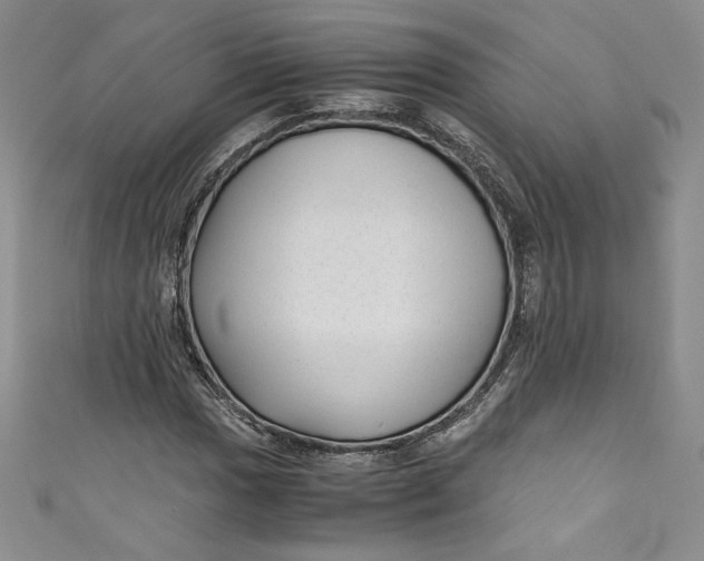 X0000111011017200907060951