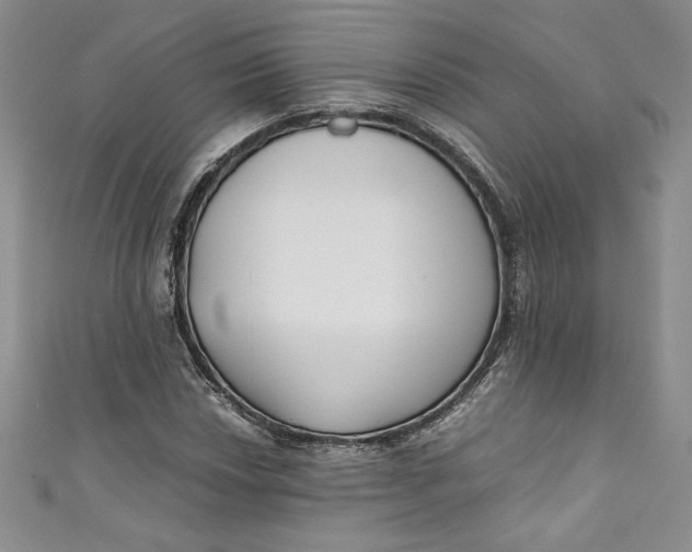 X0000111011018200907060951