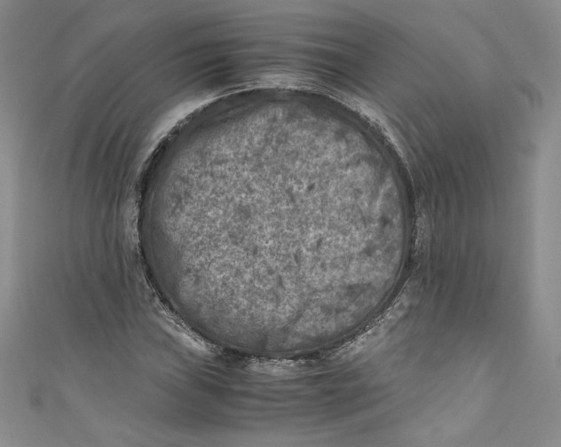 X0000111011019200907060951