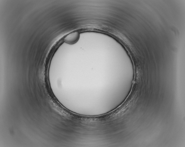 X0000111011020200907060951