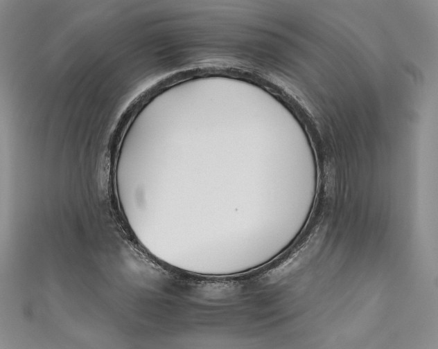 X0000111011021200907060951