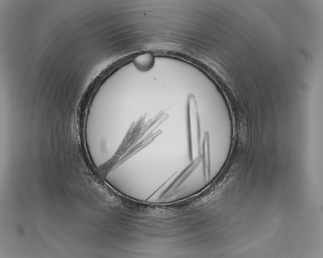 X0000111011022200907060951