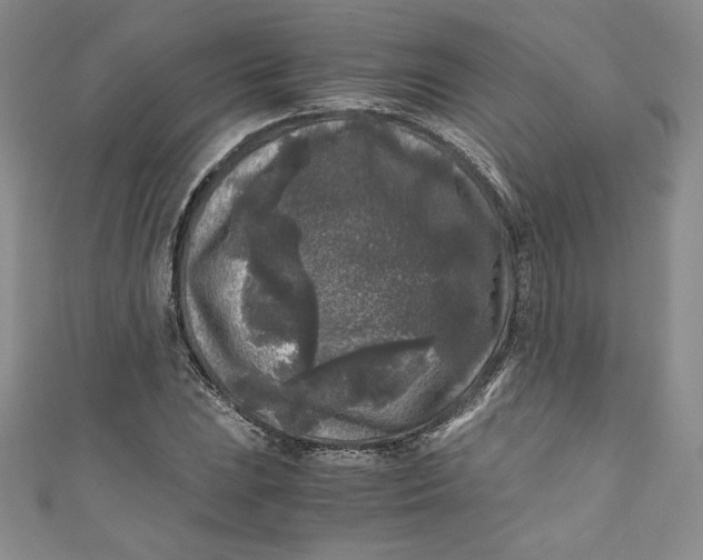 X0000111011023200907060951
