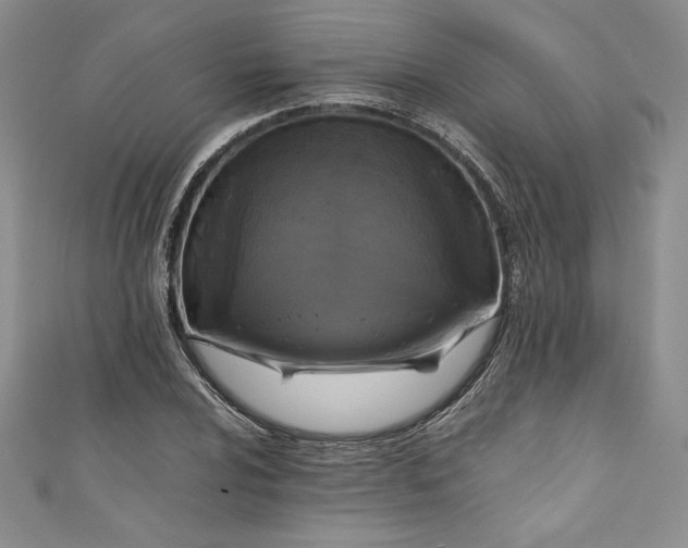 X0000111011024200907060951
