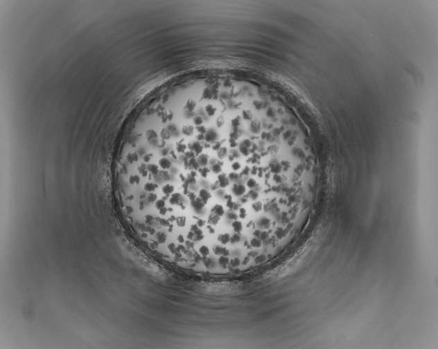 X0000111011025200907060951