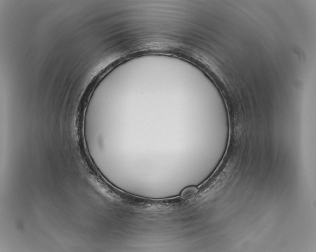 X0000111011026200907060951