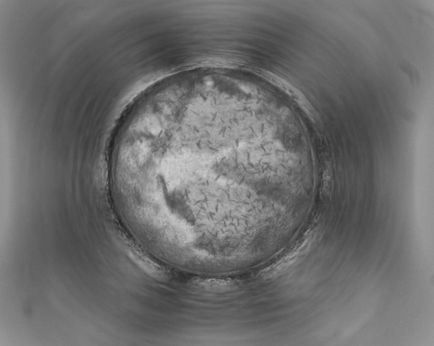 X0000111011027200907060951