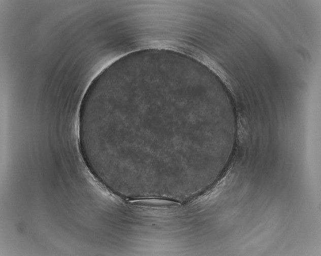 X0000111011028200907060951