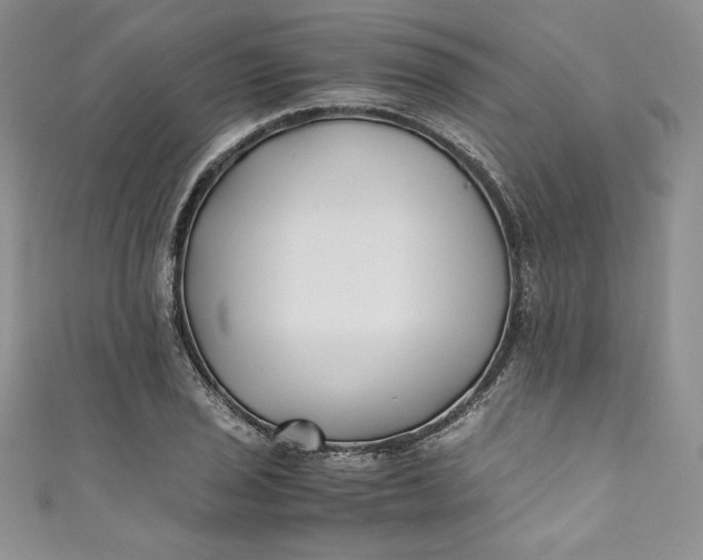 X0000111011029200907060951