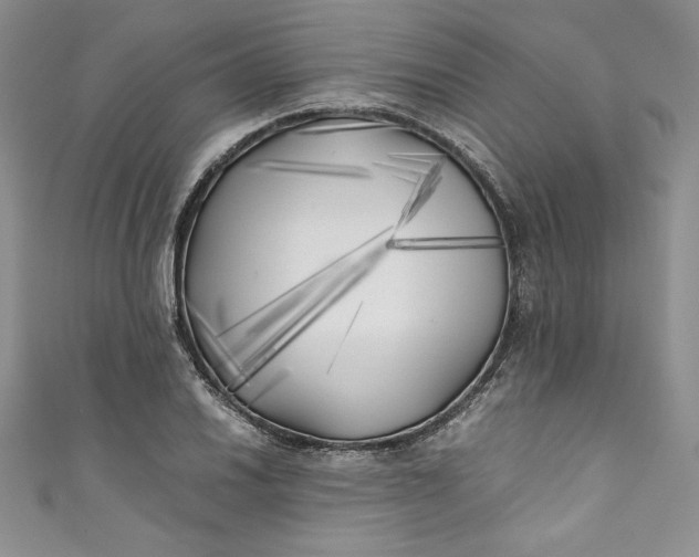 X0000111011030200907060951