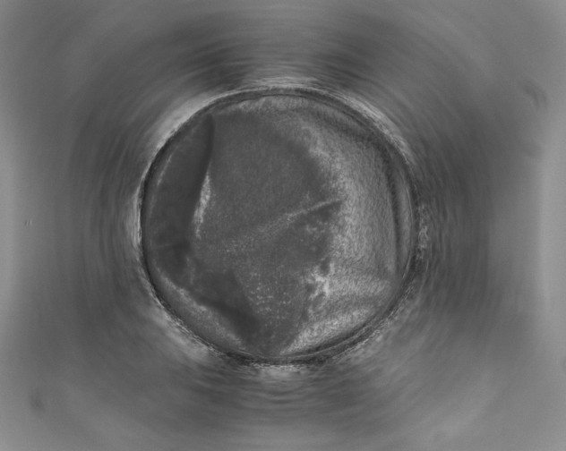 X0000111011031200907060951