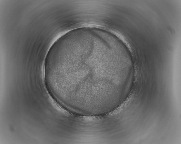 X0000111011032200907060951