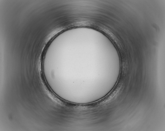 X0000111011034200907060951
