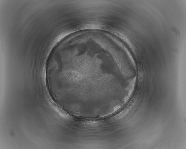X0000111011035200907060951