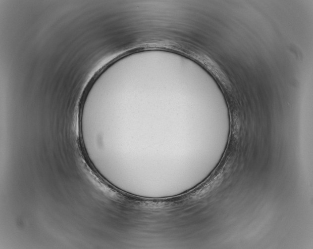X0000111011036200907060951