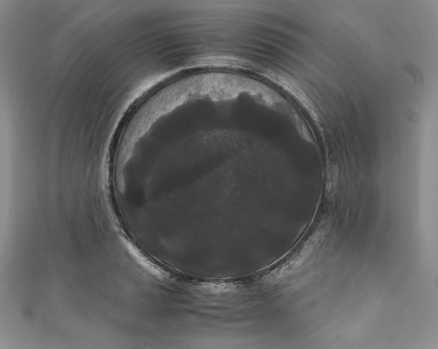 X0000111011037200907060951