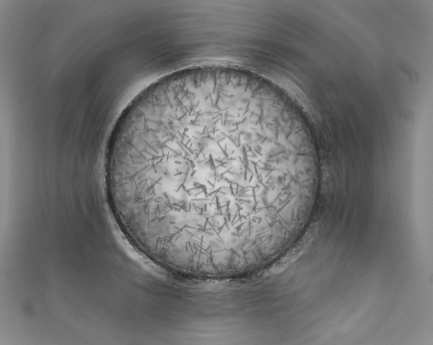 X0000111011038200907060951