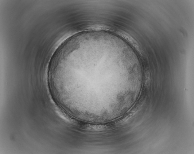 X0000111011039200907060951