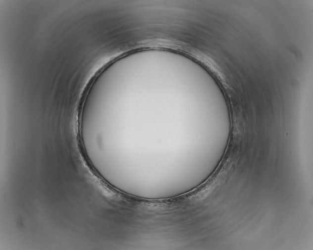 X0000111011040200907060951
