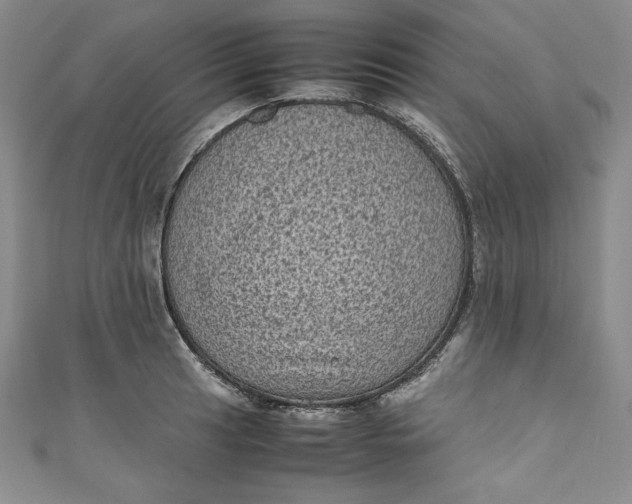 X0000111011041200907060951