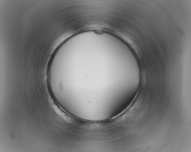 X0000111011042200907060951