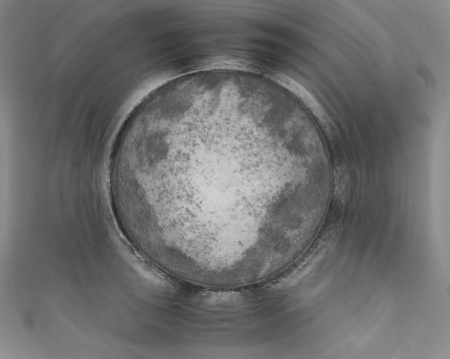 X0000111011043200907060951