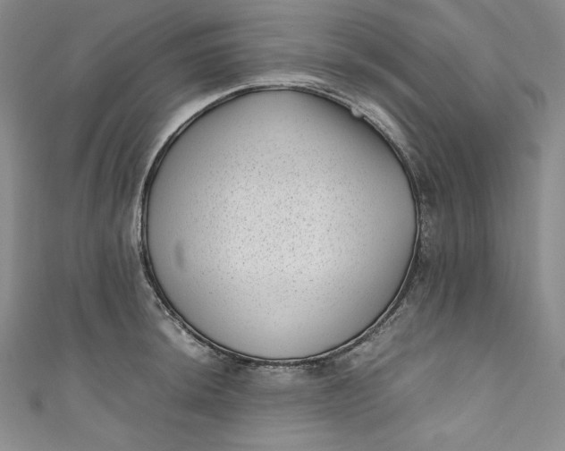 X0000111011044200907060951