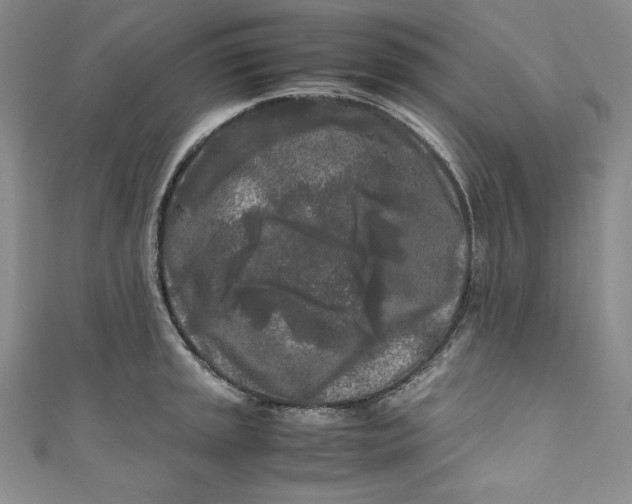 X0000111011045200907060951