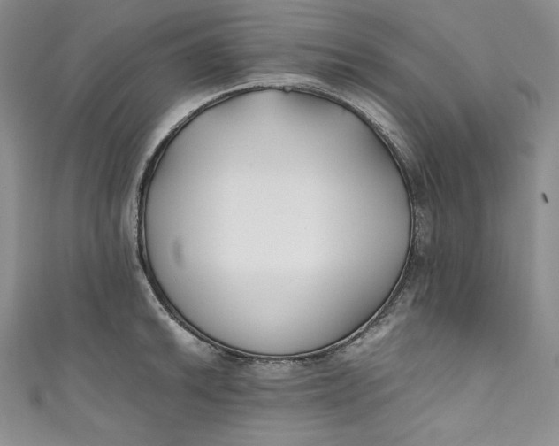 X0000111011046200907060951