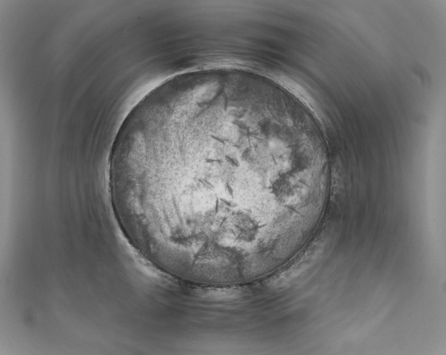X0000111011047200907060951