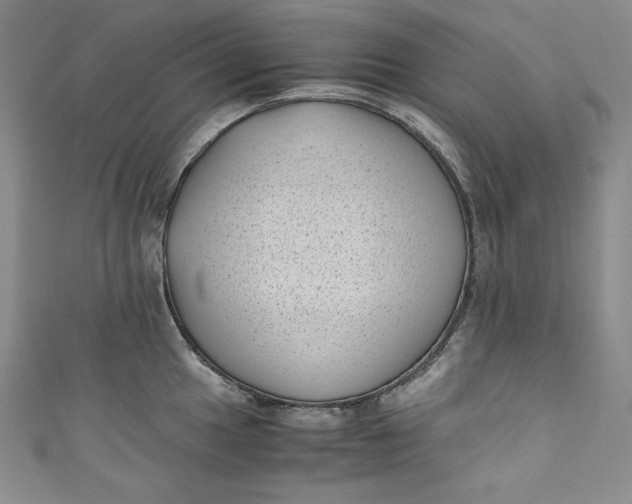 X0000111011049200907060951