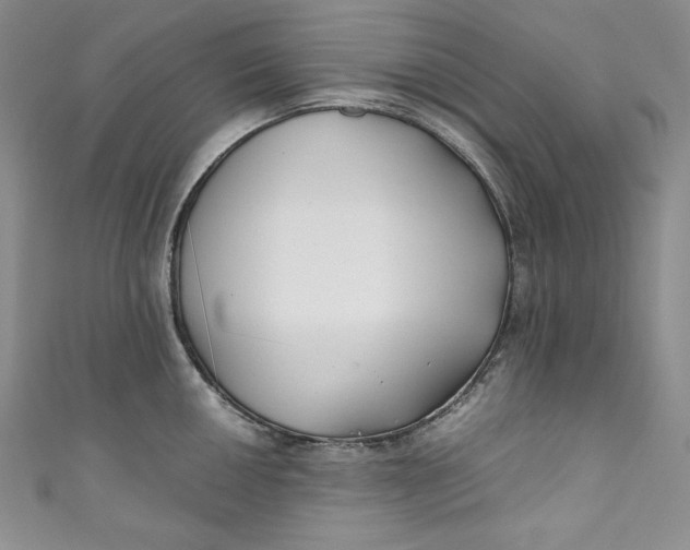 X0000111011050200907060951
