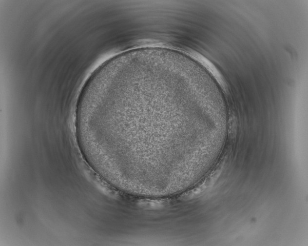X0000111011051200907060951