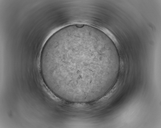 X0000111011052200907060951