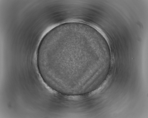 X0000111011053200907060951