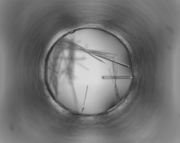 X0000111011054200907060951