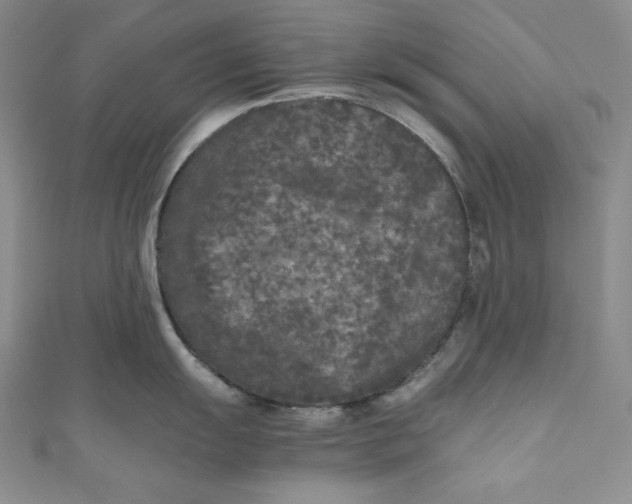 X0000111011055200907060951