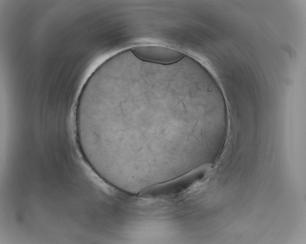 X0000111011056200907060951